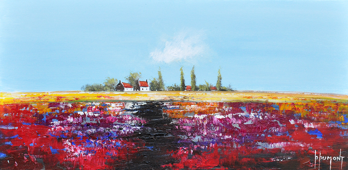 Daniel Dumont + Oogst van het licht